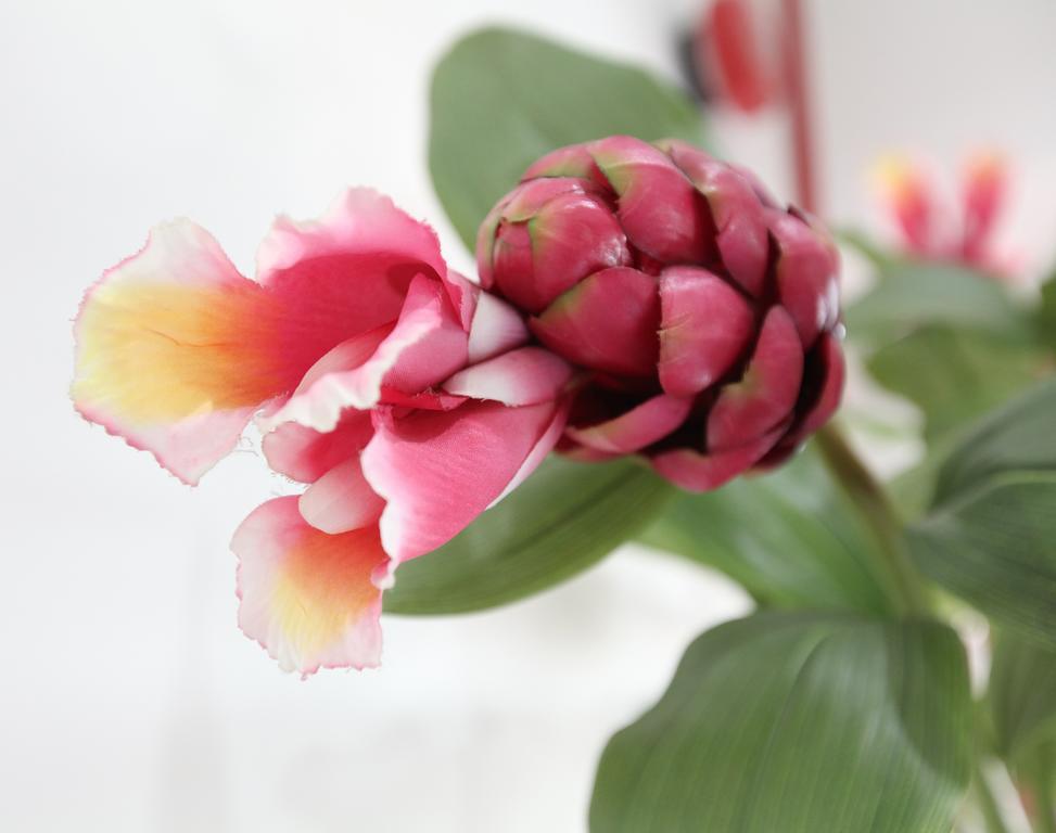 Gingerflower Boutique Hotel Malacca Eksteriør bilde